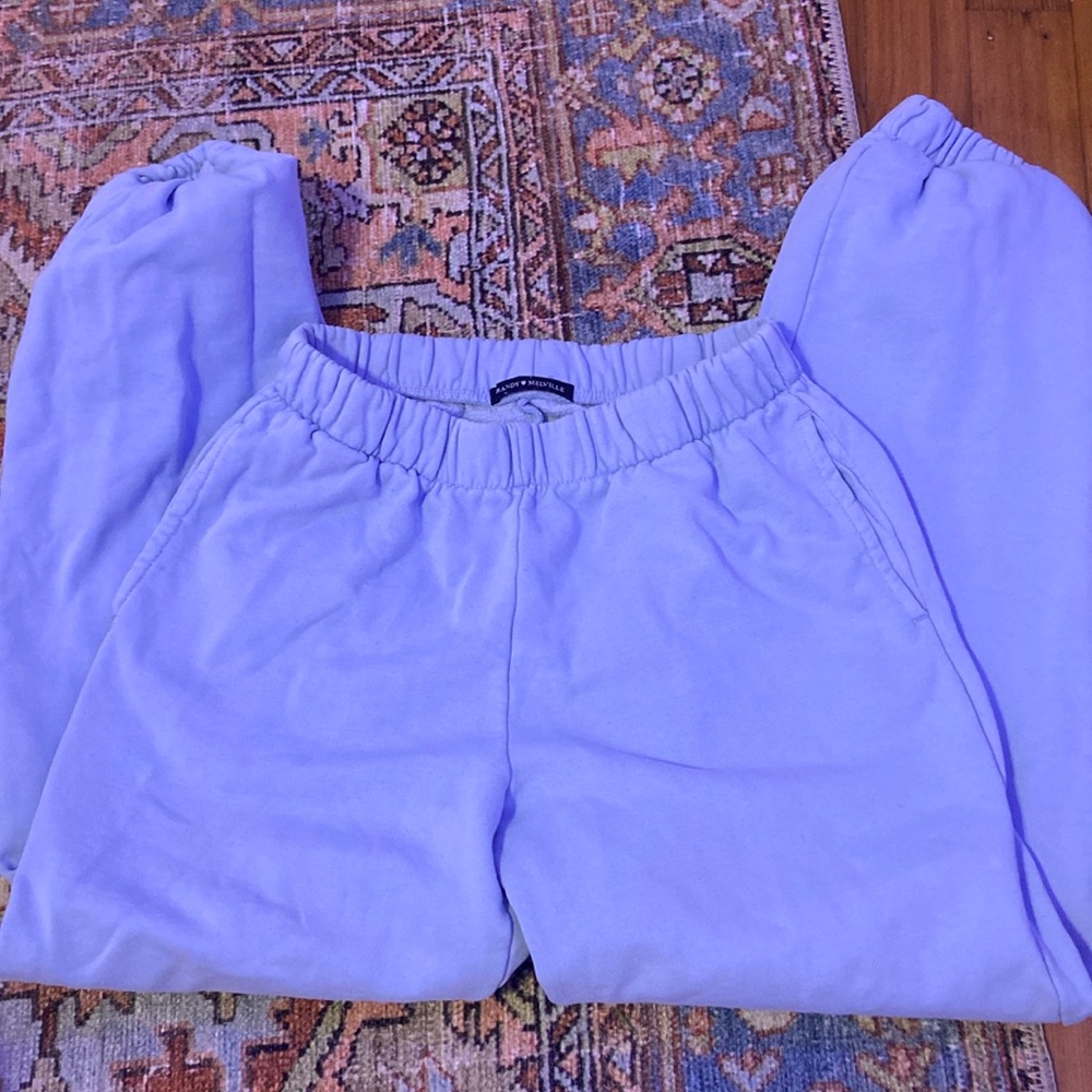 BRANDY Melville baby blue sweatpants